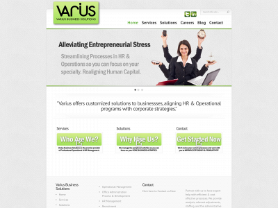 variusbusinesssolutions.com snapshot