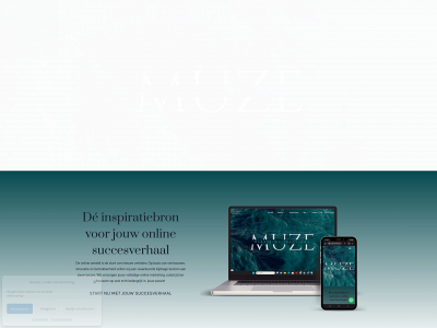 muzemarketing.nl snapshot