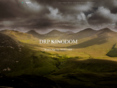 drpkingdom.com snapshot