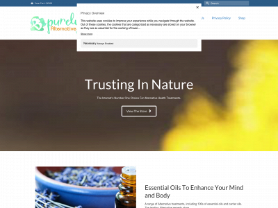 thehealingtherapy.site snapshot