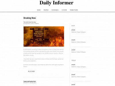 dailyinformer.online snapshot