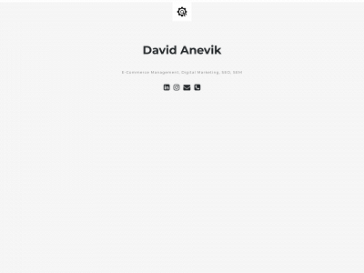 davidanevik.se snapshot