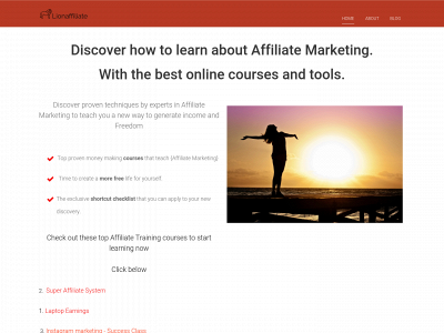 lionaffiliate.com snapshot