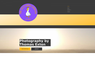 thesillygoosecompany.com snapshot