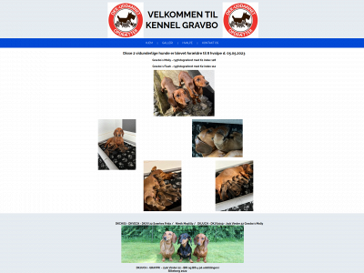 kennel-gravbo.dk snapshot