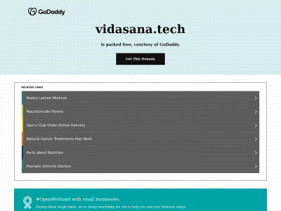 vidasana.tech snapshot