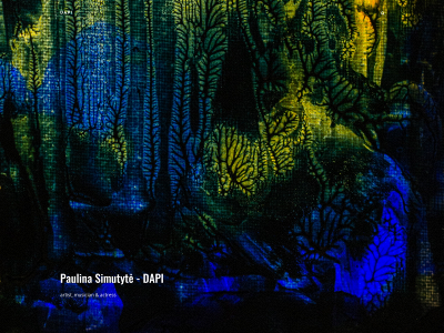 dapi.lt snapshot