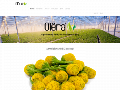 www.olera.de snapshot