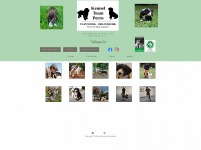teamperro.se snapshot
