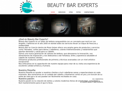 beautybarexperts.com snapshot