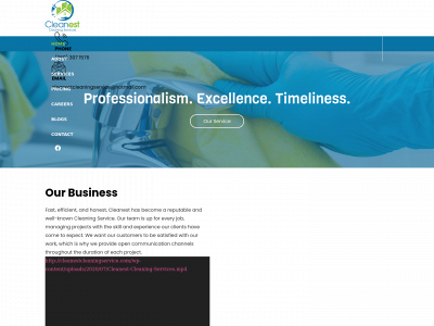 cleanestcleaningservice.com snapshot