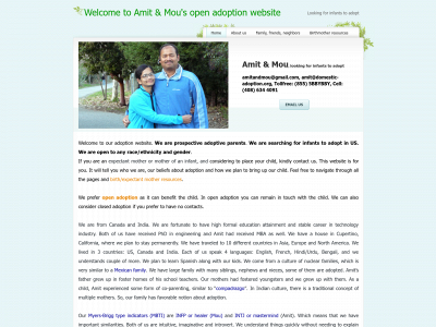 domesticopenadoption.info snapshot