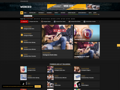 webceo.dk snapshot