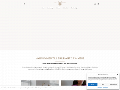 brilliantcashmere.com snapshot