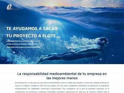 econsultingvlc.net snapshot