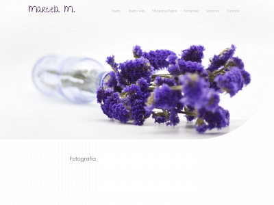 vidavulgaris.com snapshot