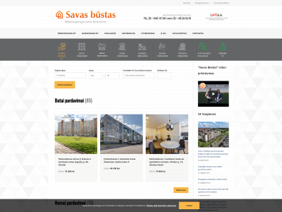savasbustas.com snapshot
