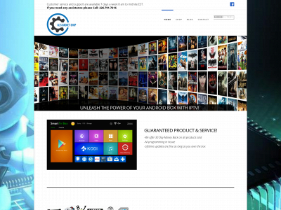 alsgadgetshop.com snapshot
