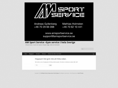 amsportservice.se snapshot
