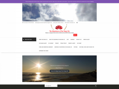 ourdanglife.com snapshot
