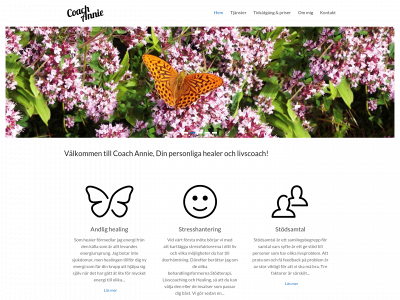 coachannie.se snapshot
