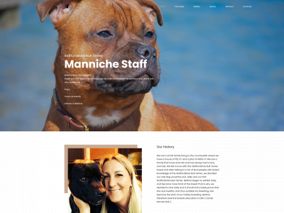 mannichestaff.dk snapshot