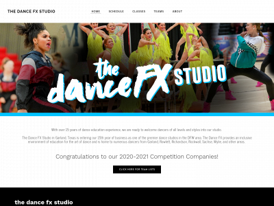 www.thedancefx.net snapshot