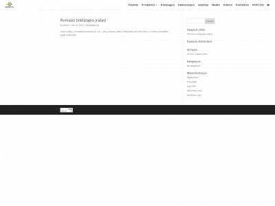 nanoterma.lt snapshot