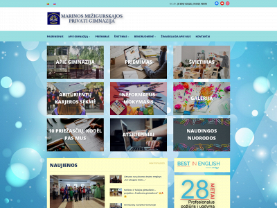 mizgimnazija.lt snapshot