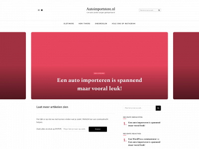 autoimportstore.nl snapshot