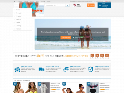 thesplashcompany.com snapshot