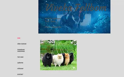 vivekafellbom.se snapshot