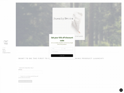 www.poembybecca.com snapshot