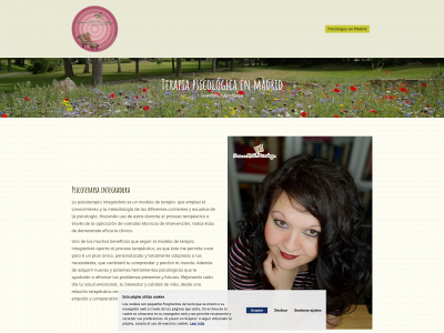 psicoterapiaenmadrid.es snapshot