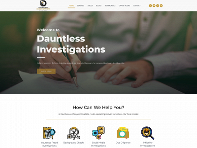 dauntlessinvestigations.com snapshot