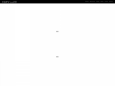 topssandersen.dk snapshot