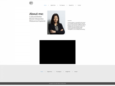 beiwang.nl snapshot