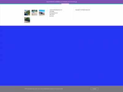 vognmandrenetoft.dk snapshot