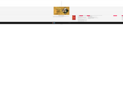 trainsbuseshostels.com snapshot