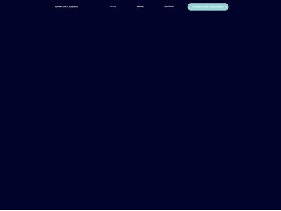 sliverlightagency.com snapshot