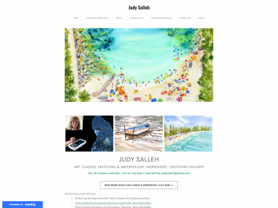 judysalleh.weebly.com snapshot