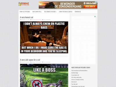 funcatpictures.com snapshot