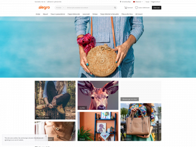 alegro.al snapshot