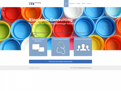 ringblomconsulting.com snapshot