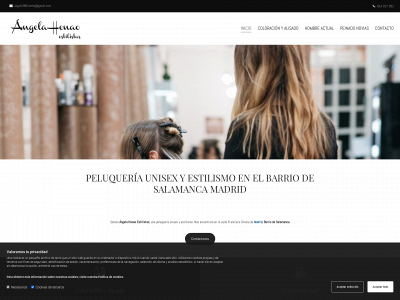 angelahenaoestilistas.com snapshot