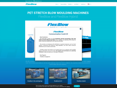 flexblow.com snapshot