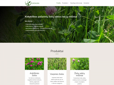 gvidagra.lt snapshot