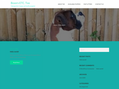 boxerstoo.com snapshot