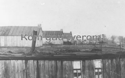 jobbegea.store snapshot