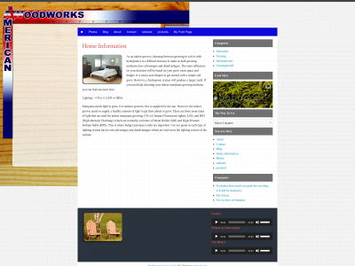 dwlewis.com snapshot